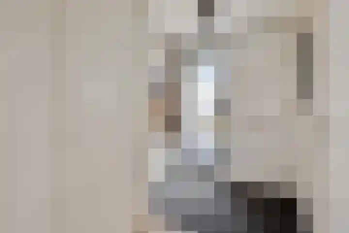 Weerselostraat 15 Tilburg thumbnail 10