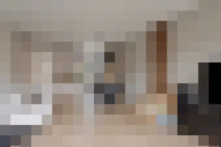 Weerselostraat 15 Tilburg thumbnail 14