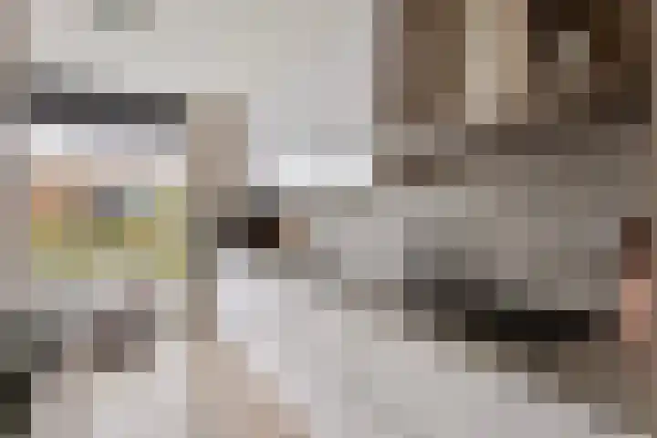 Weerselostraat 15 Tilburg thumbnail 16