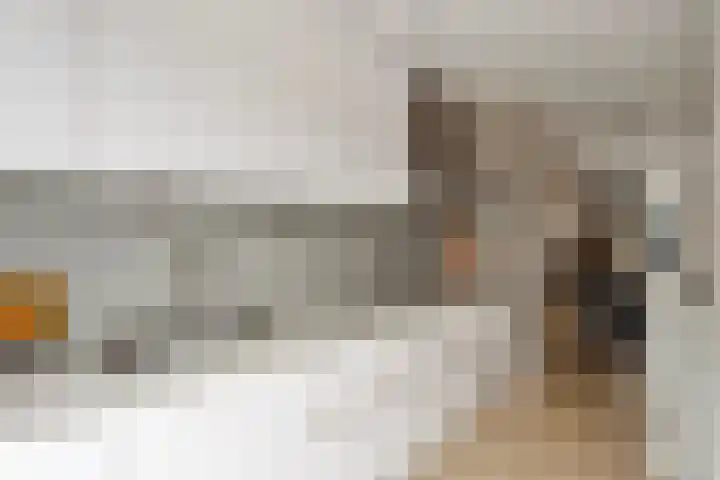 Weerselostraat 15 Tilburg thumbnail 17