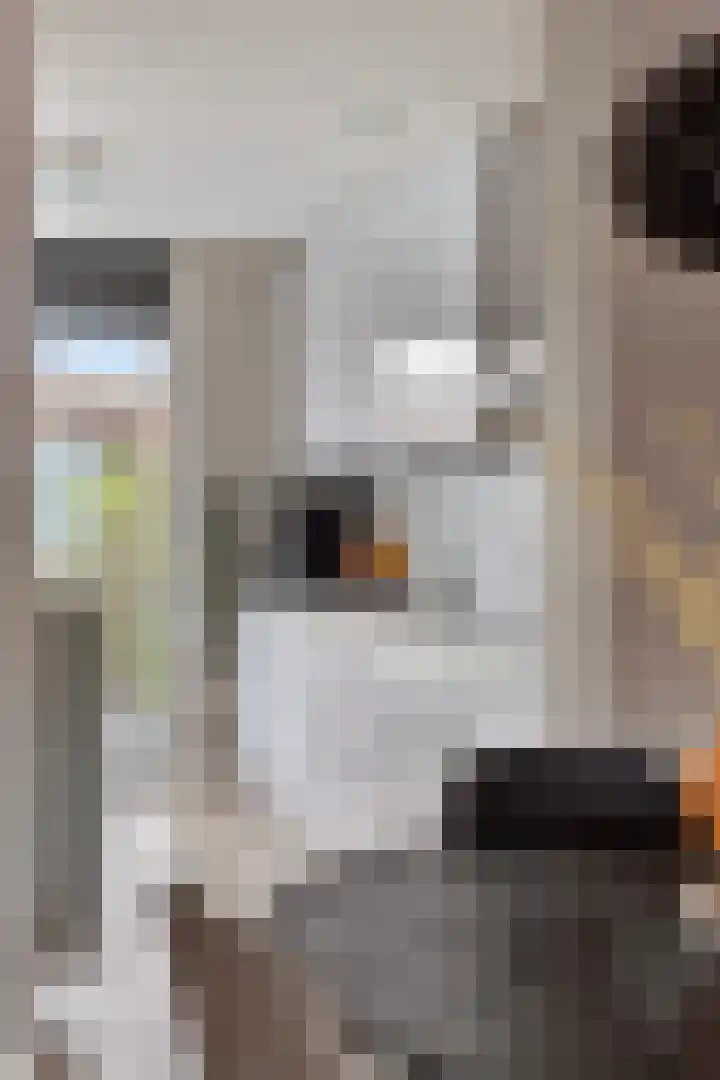 Weerselostraat 15 Tilburg thumbnail 21