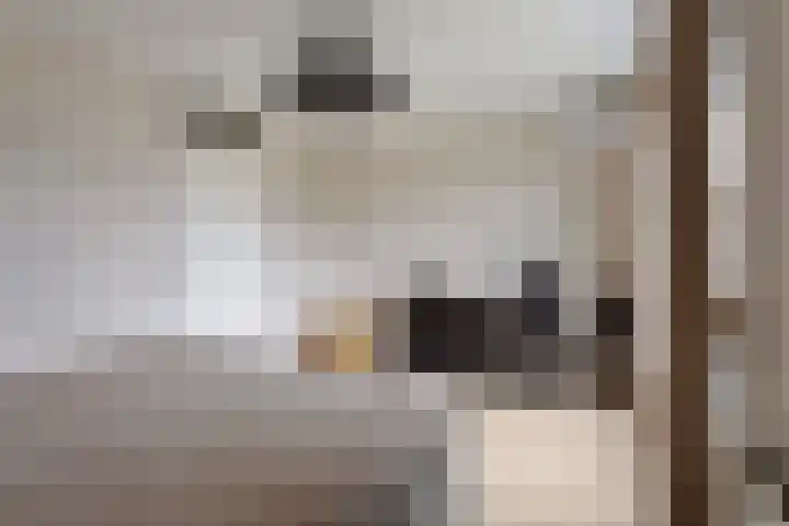 Weerselostraat 15 Tilburg thumbnail 25