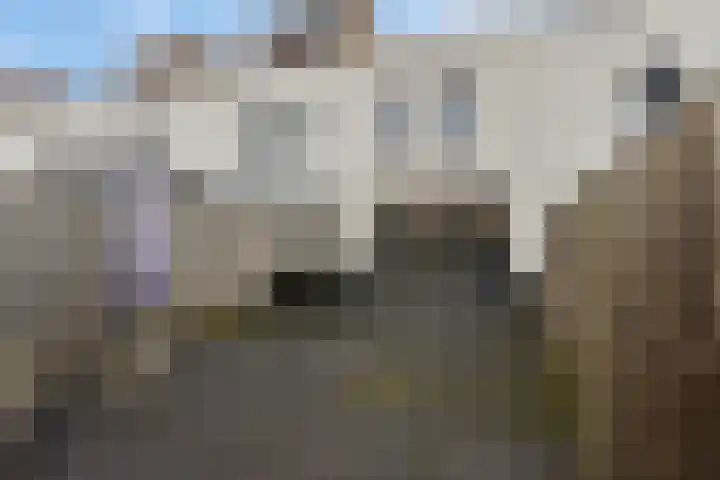 Weerselostraat 15 Tilburg thumbnail 6