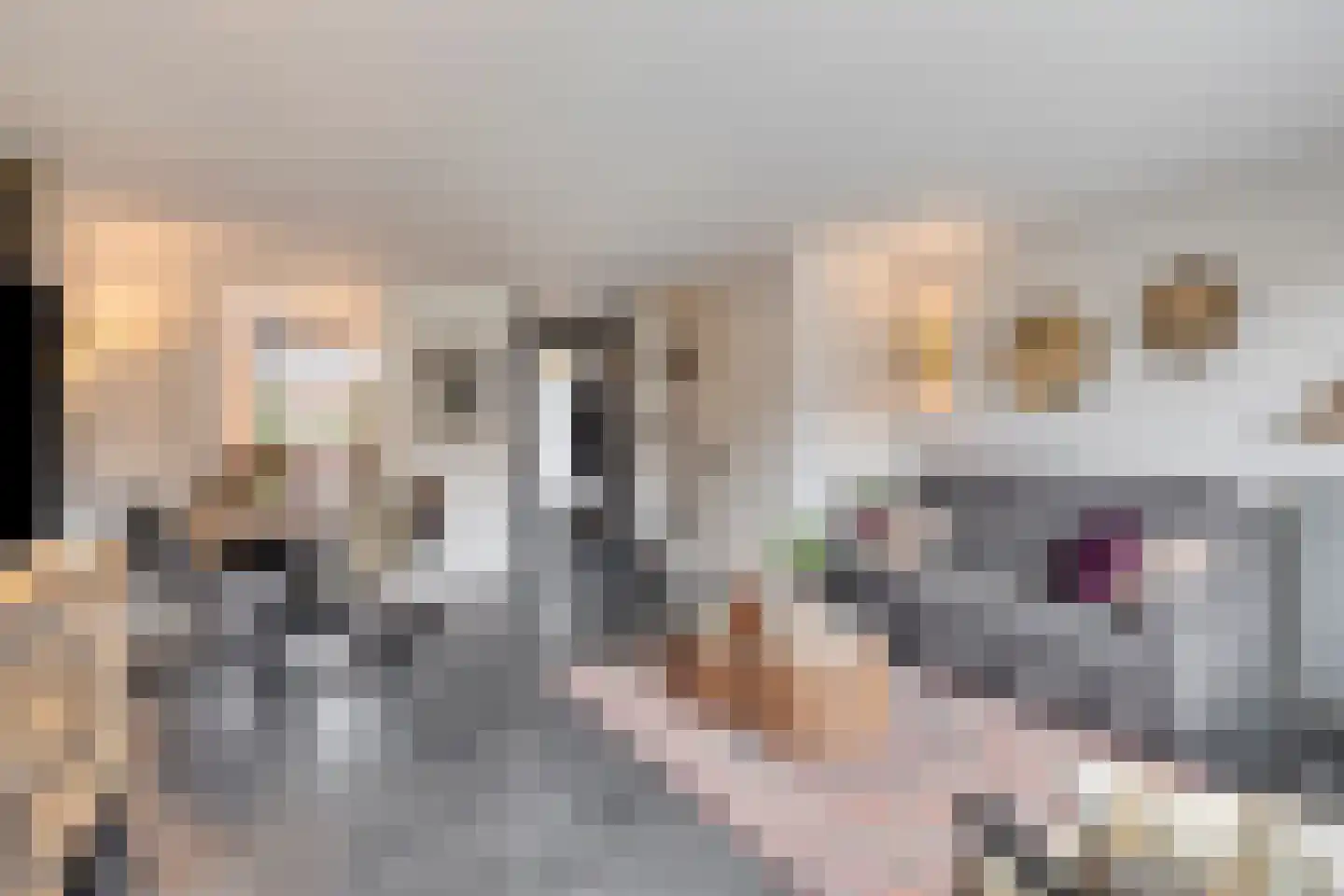Weerselostraat 17 Tilburg thumbnail 13