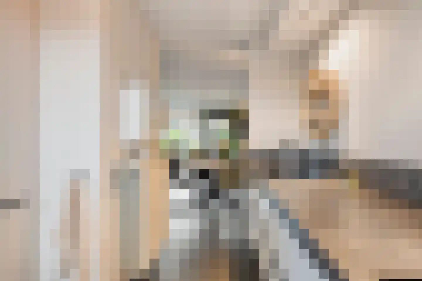 Weerselostraat 17 Tilburg thumbnail 17