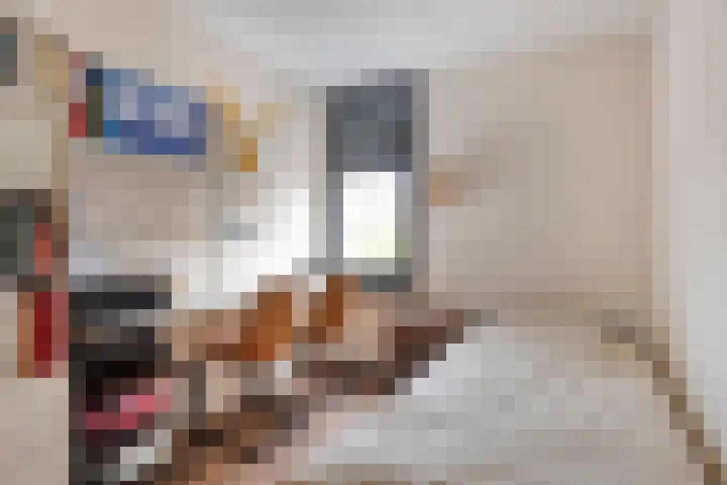 Weerselostraat 17 Tilburg thumbnail 26