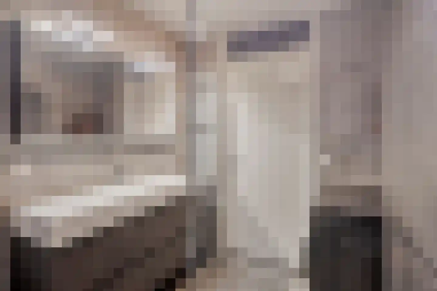 Weerselostraat 17 Tilburg thumbnail 28