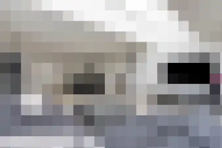 Weerselostraat 7 Tilburg thumbnail 14