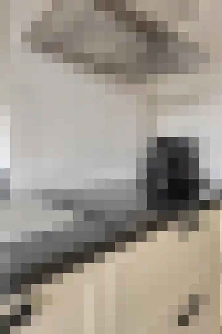 Weerselostraat 7 Tilburg thumbnail 24