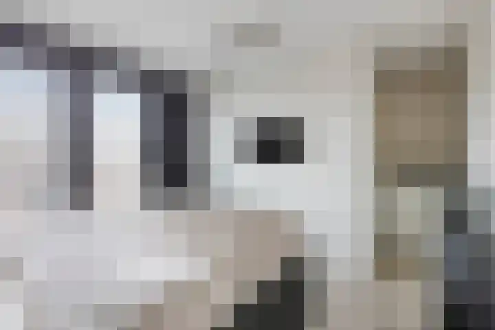 Weerselostraat 7 Tilburg thumbnail 30