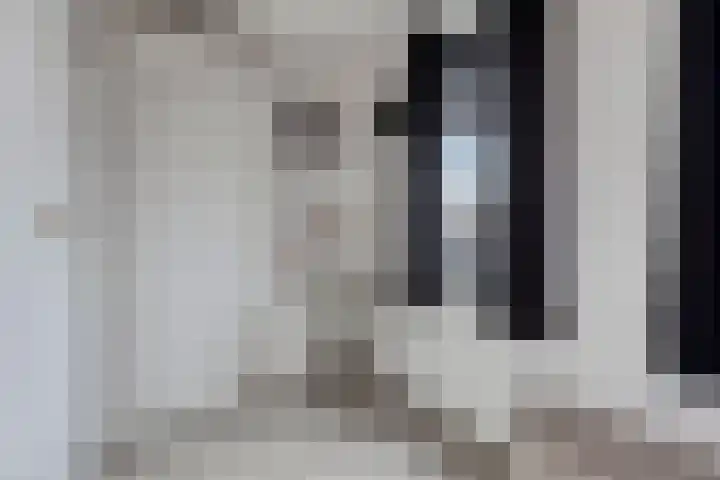 Weerselostraat 7 Tilburg thumbnail 44
