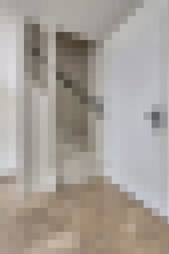 Weerselostraat 7 Tilburg thumbnail 7