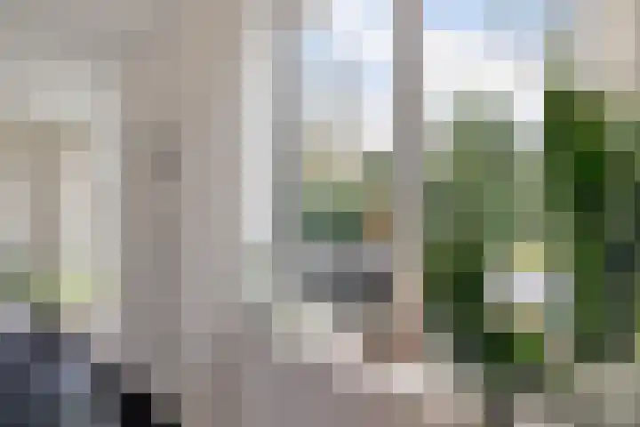 Weersmaten 13 Aalden thumbnail 18