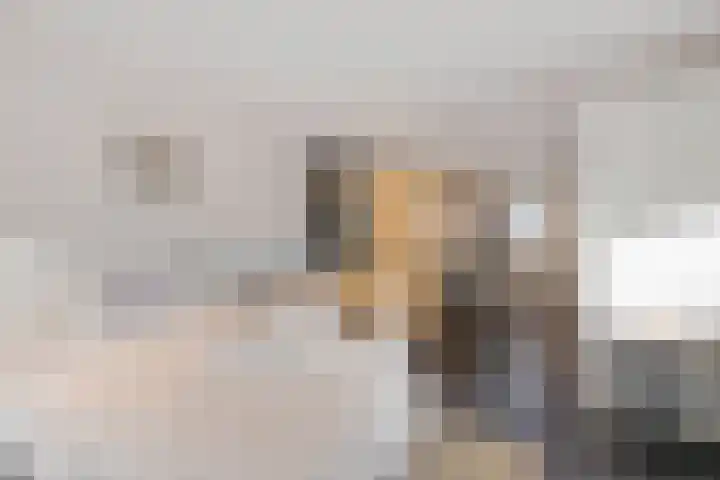 Weersmaten 13 Aalden thumbnail 25