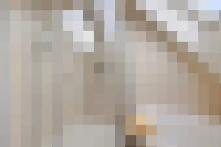 Weersmaten 13 Aalden thumbnail 36