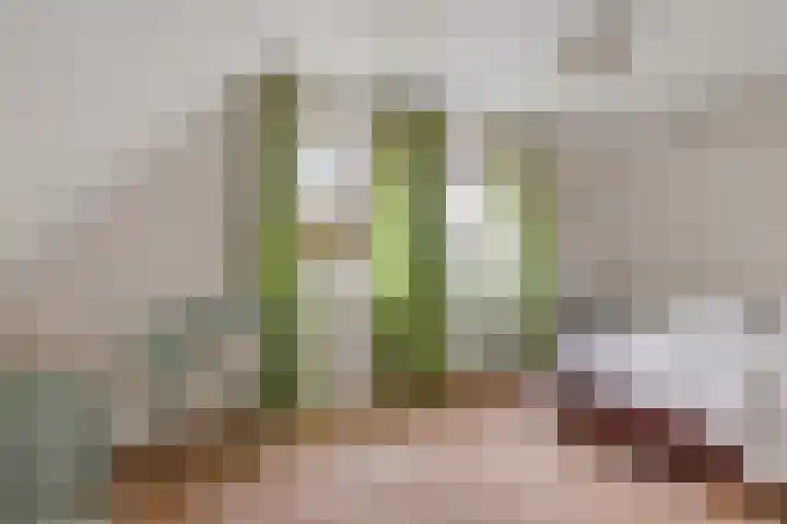 Weersmaten 13 Aalden thumbnail 38