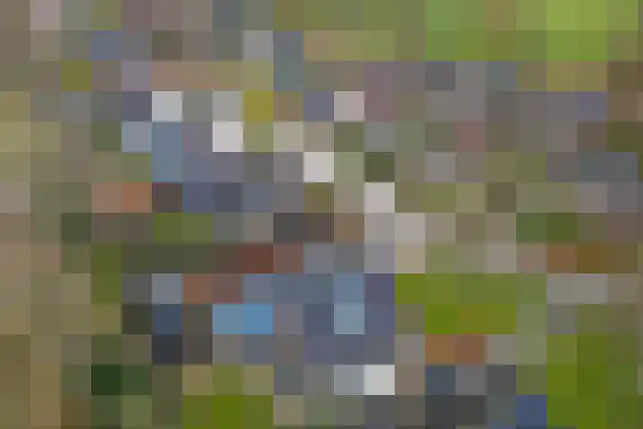 Weersmaten 13 Aalden thumbnail 57