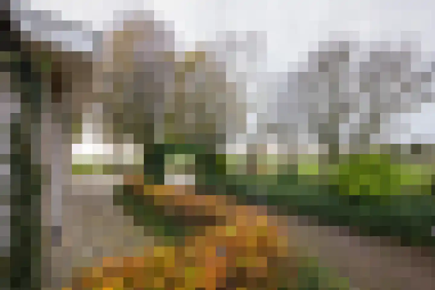 Weersterweg 10 A Wons thumbnail 46
