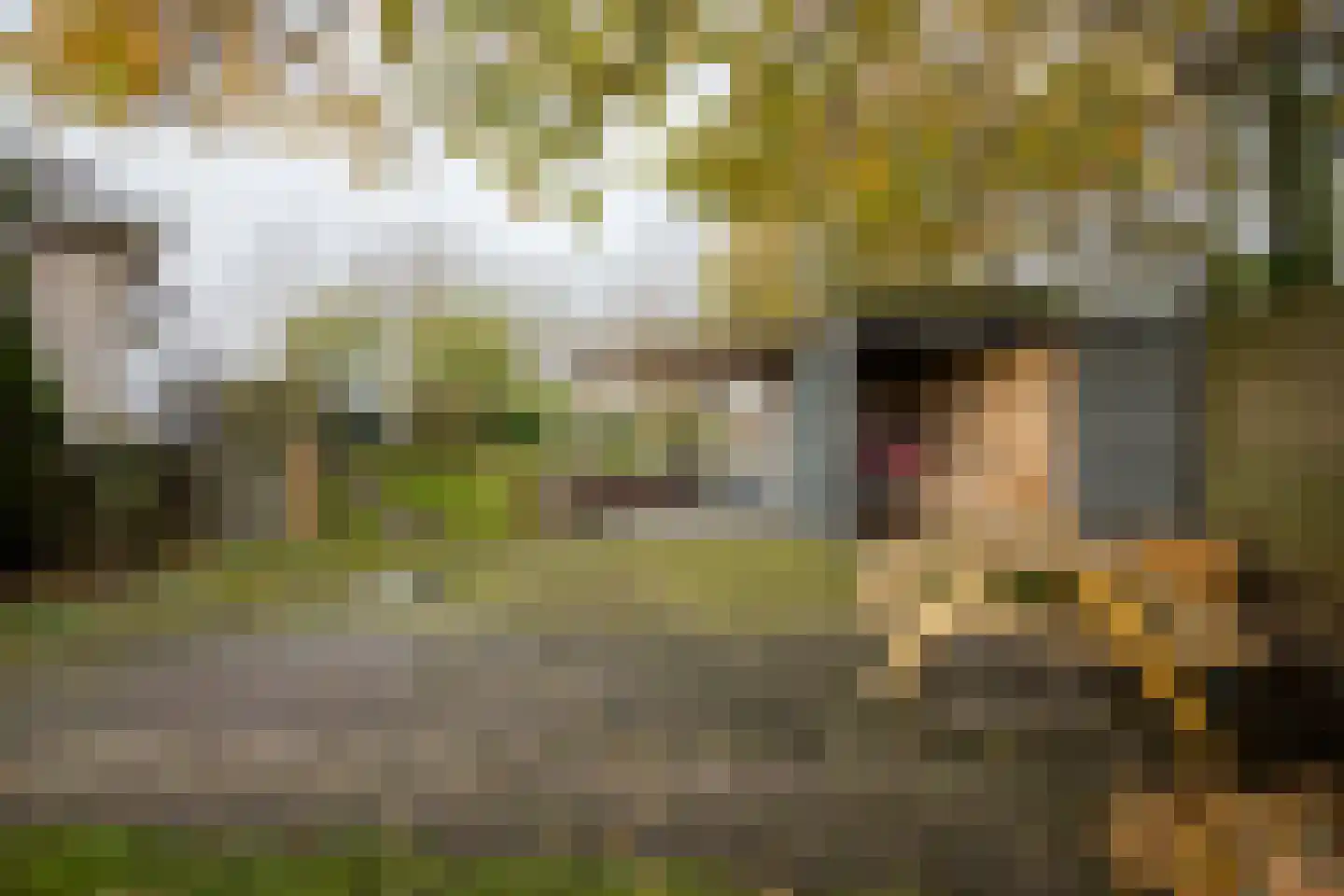 Weersterweg 10 A Wons thumbnail 49