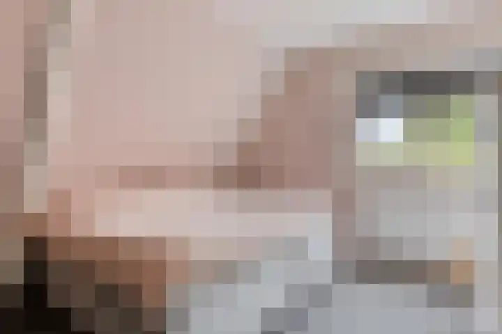 Weersterweg 12 Wons thumbnail 18