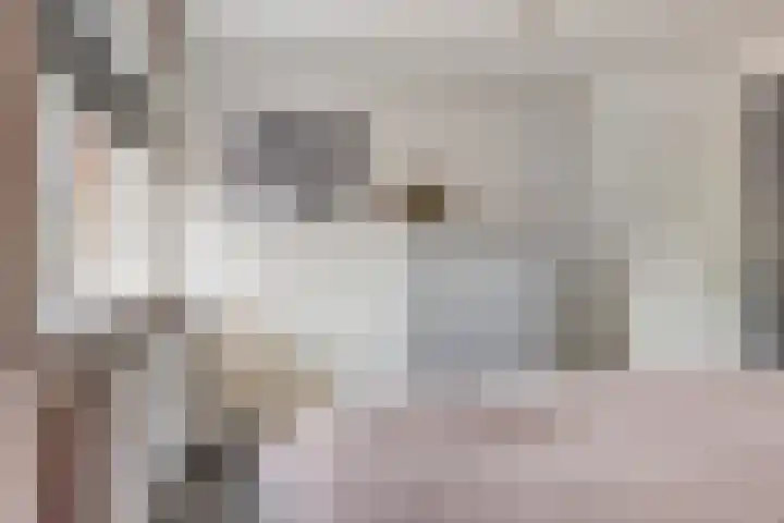 Weersterweg 12 Wons thumbnail 20