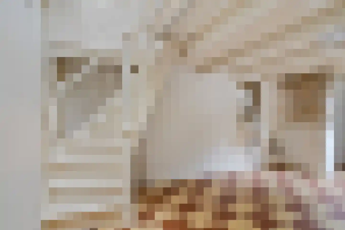 Weerstraat 15 Tiel thumbnail 11