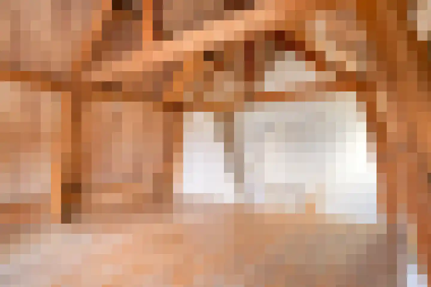 Weerstraat 15 Tiel thumbnail 20
