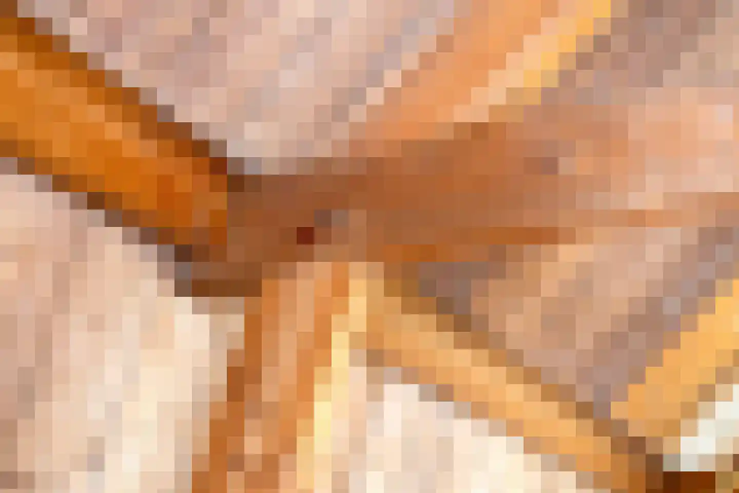 Weerstraat 15 Tiel thumbnail 21
