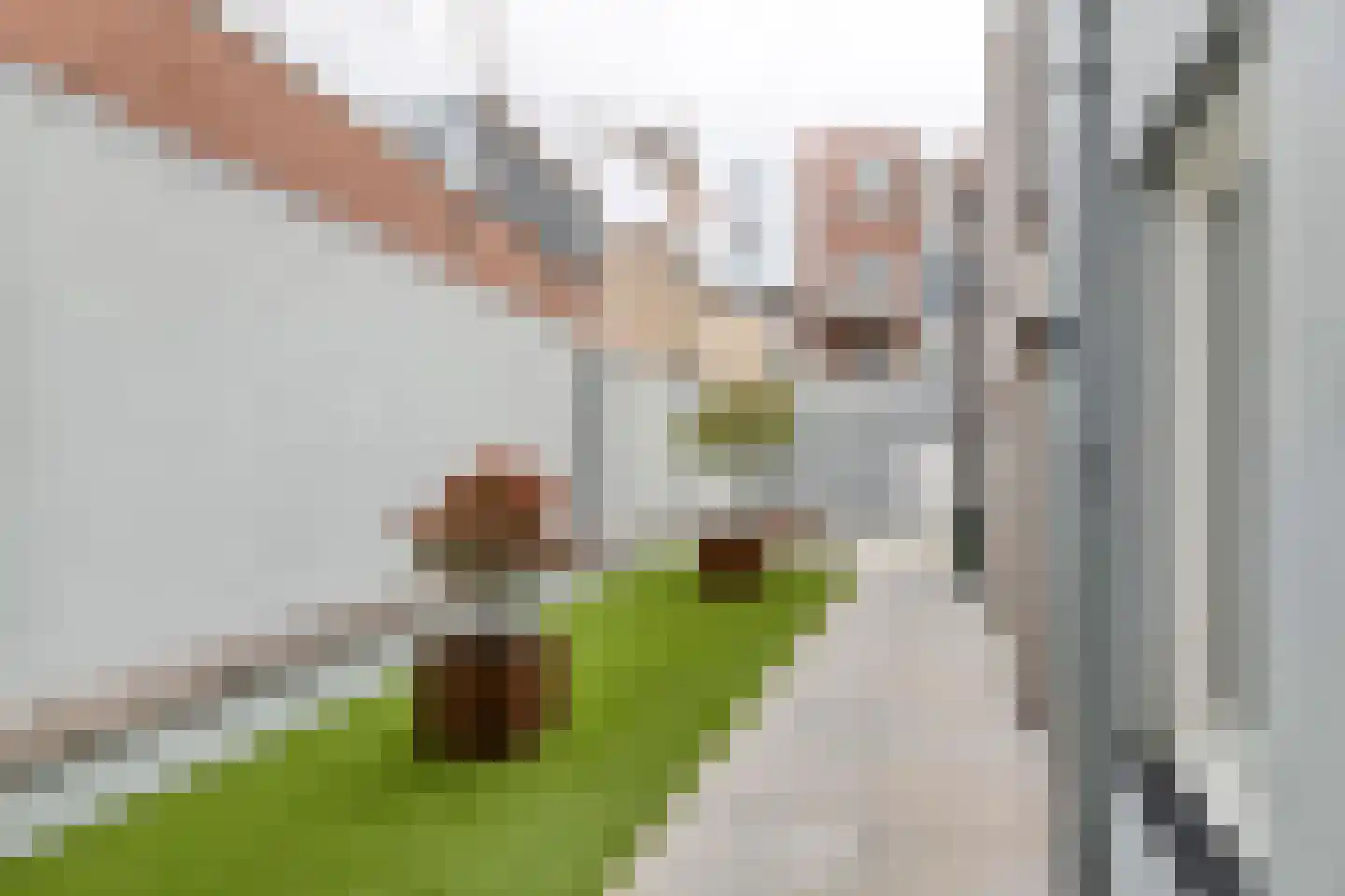 Weerstraat 39 b Tiel thumbnail 37