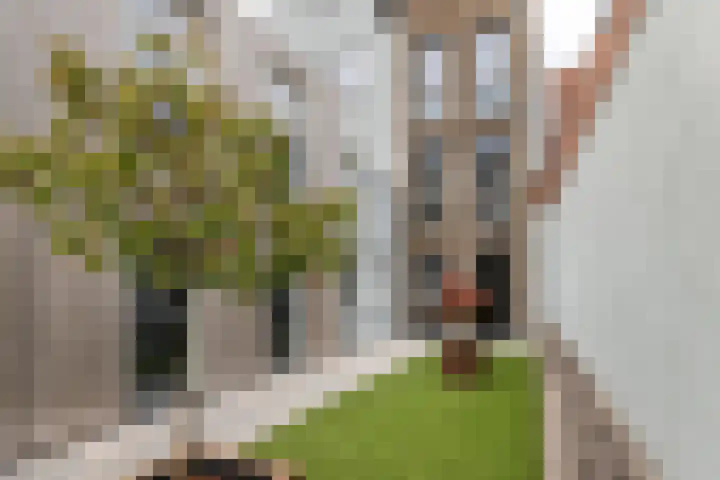 Weerstraat 39 b Tiel thumbnail 5