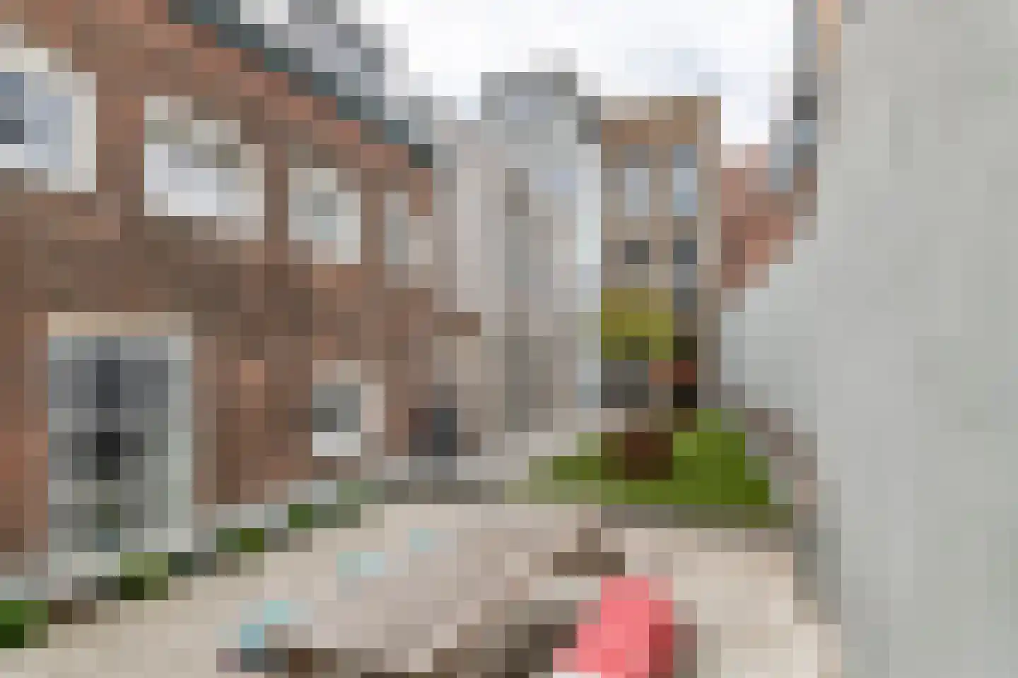 Weerstraat 39 d Tiel thumbnail 28