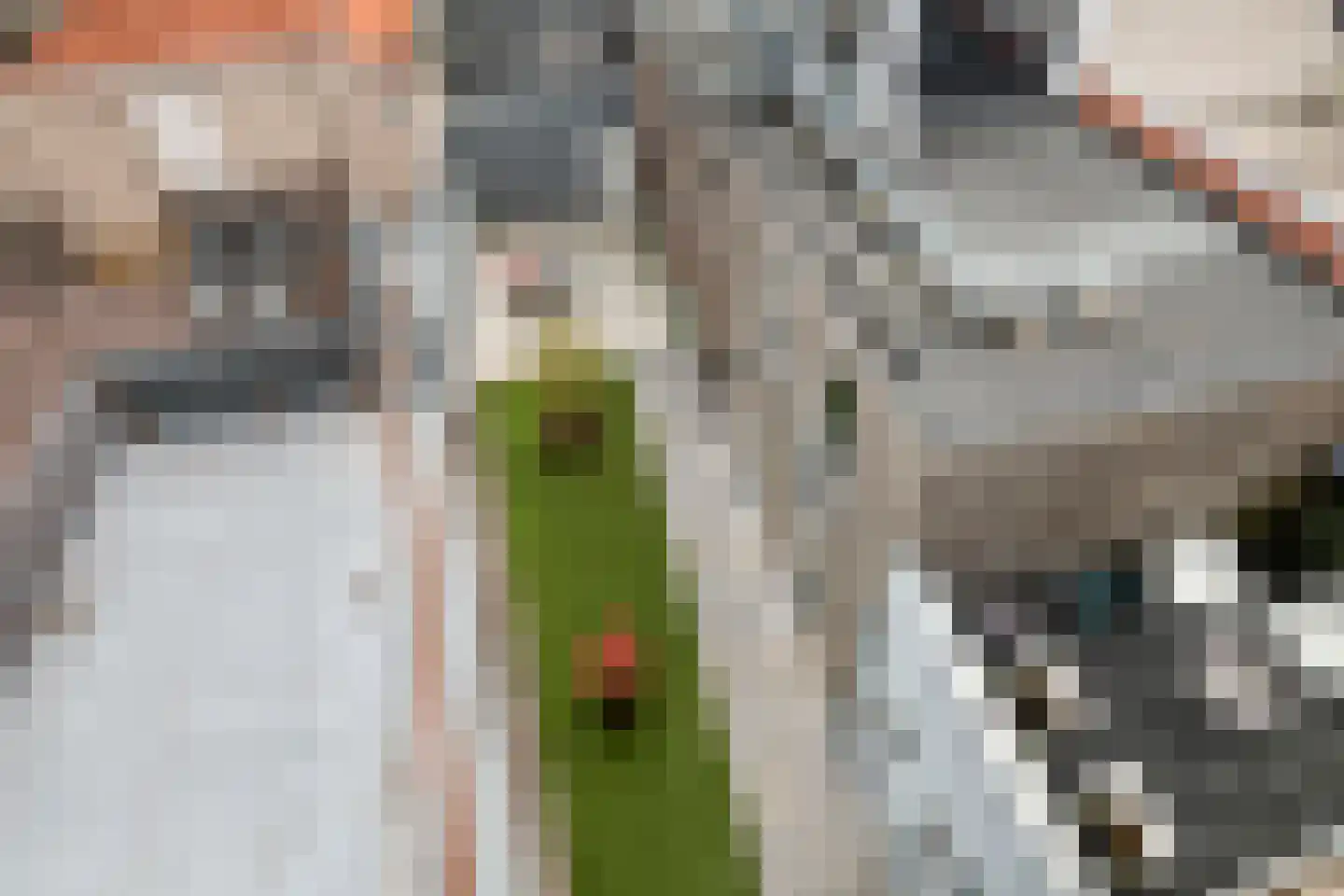 Weerstraat 39 f Tiel thumbnail 29