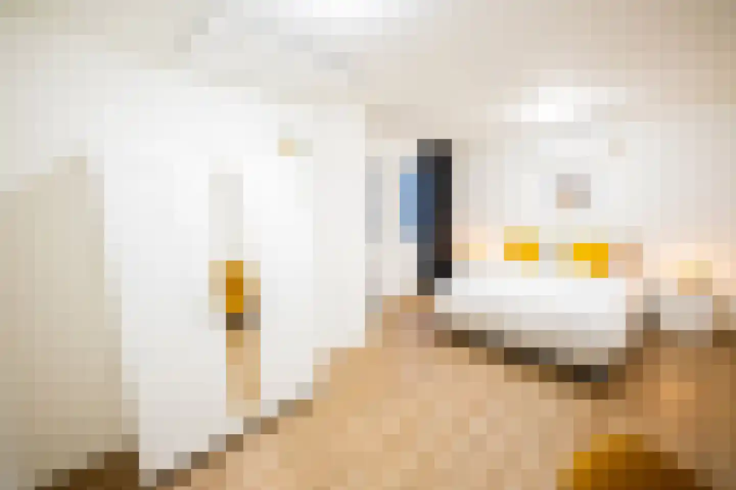Weerstraat 39 Tiel thumbnail 22