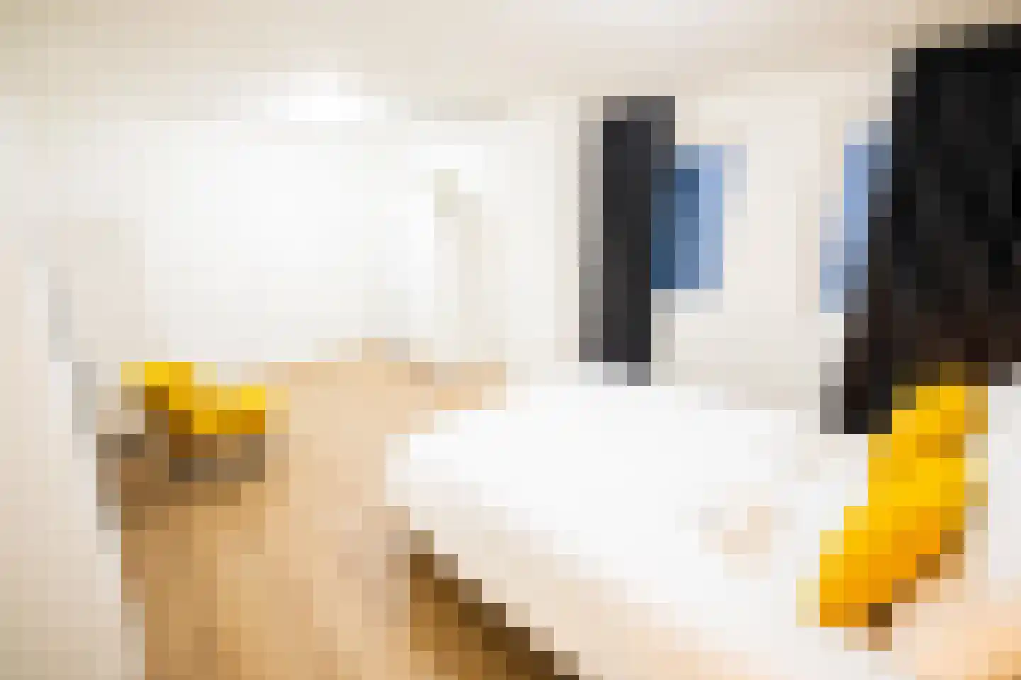 Weerstraat 39 Tiel thumbnail 25