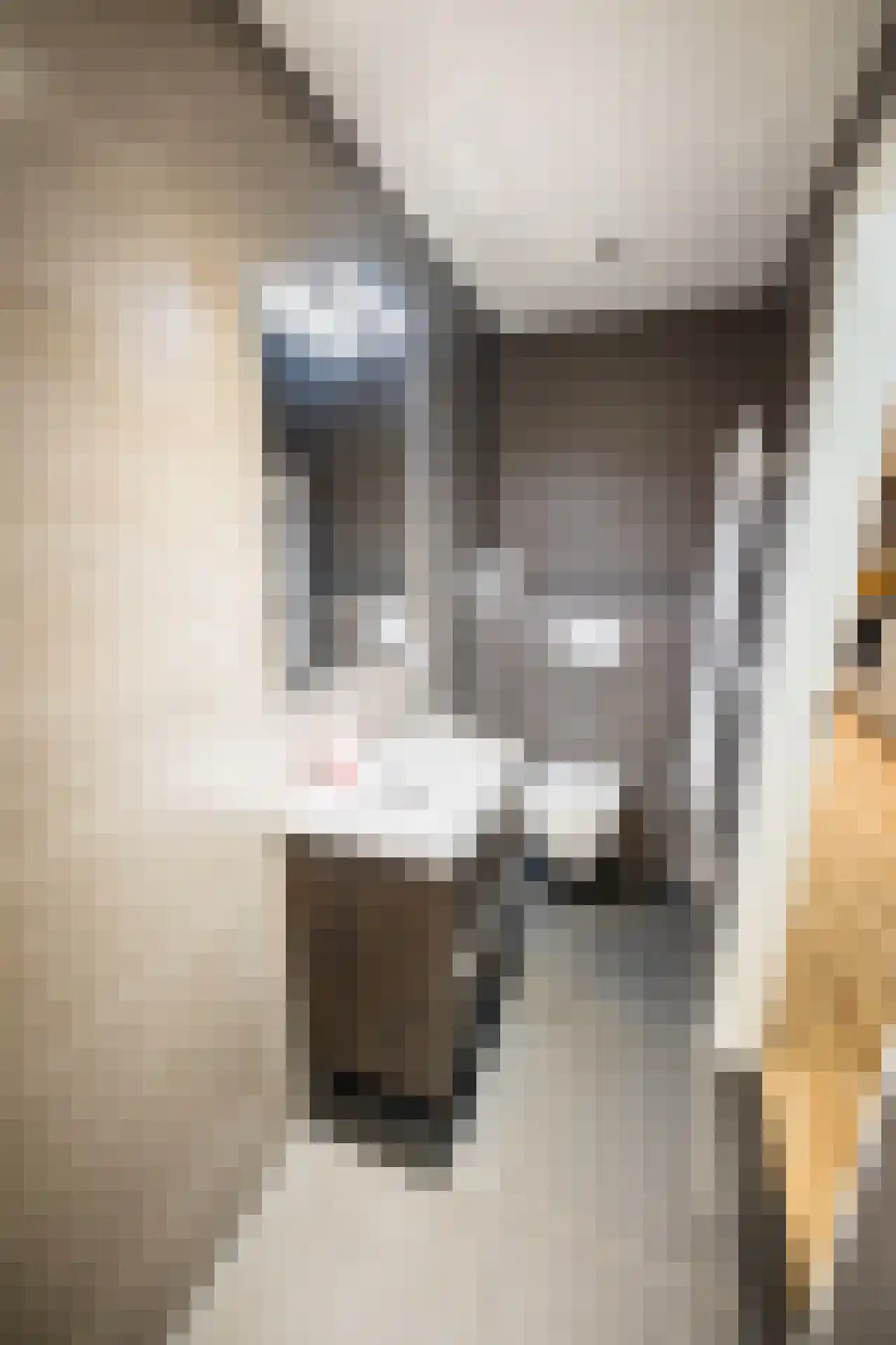 Weerstraat 39 Tiel thumbnail 30