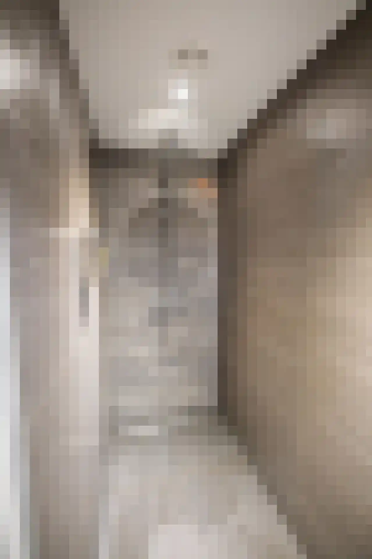 Weerstraat 39 Tiel thumbnail 32