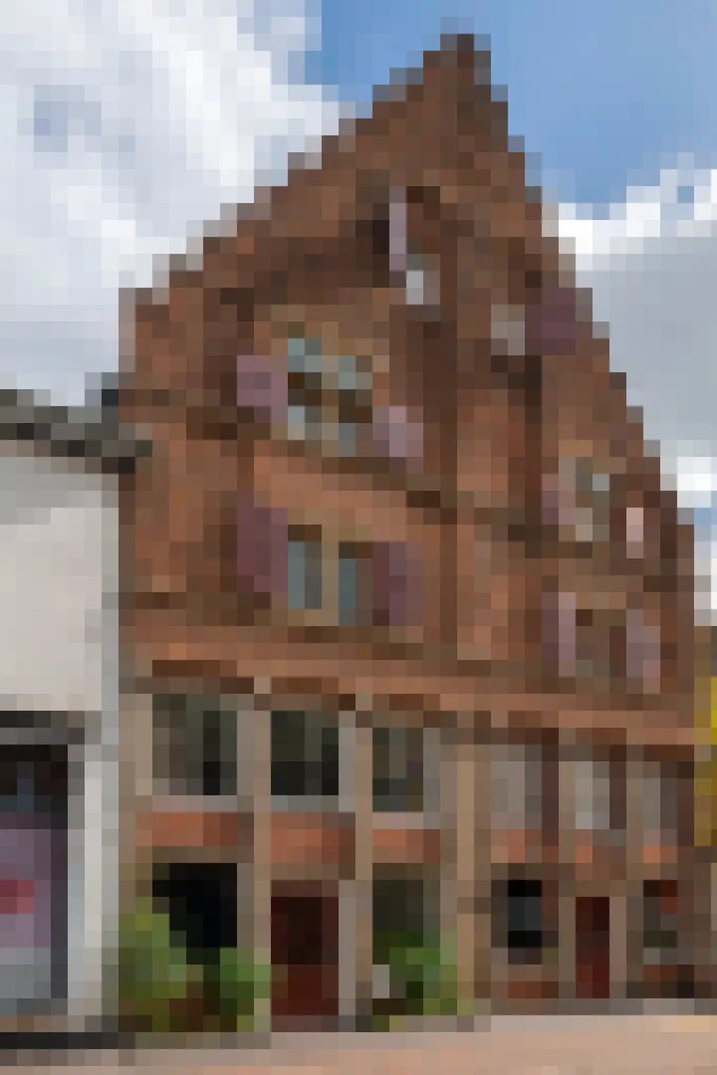 Weerstraat 47 Tiel
