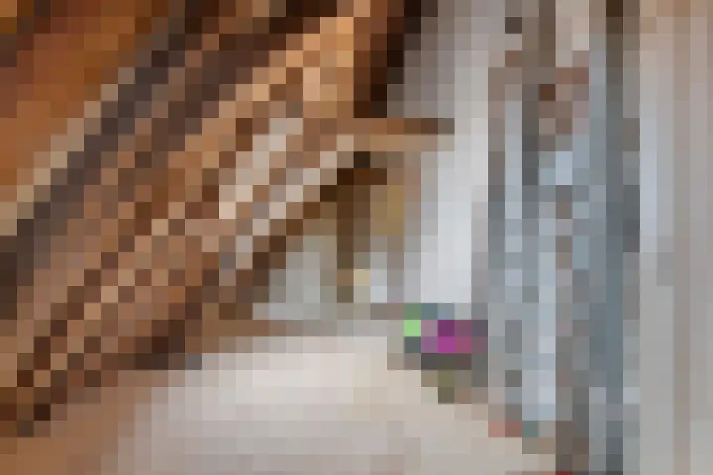 Weerstraat 47 Tiel thumbnail 58