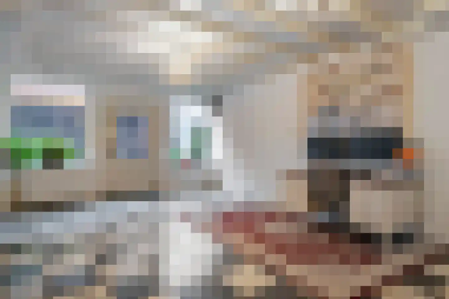 Weerstraat 47 Tiel thumbnail 9