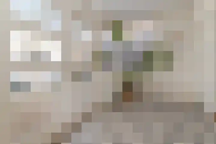 Weert 51 Meerssen thumbnail 14