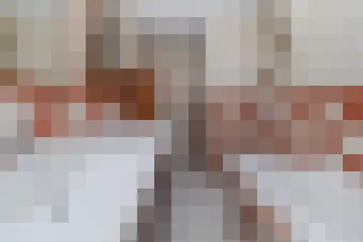 Weert 51 Meerssen thumbnail 16