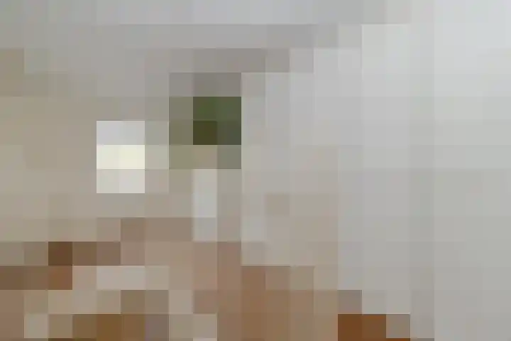 Weert 51 Meerssen thumbnail 18