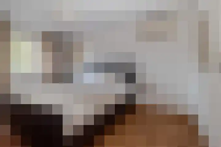 Weert 51 Meerssen thumbnail 19