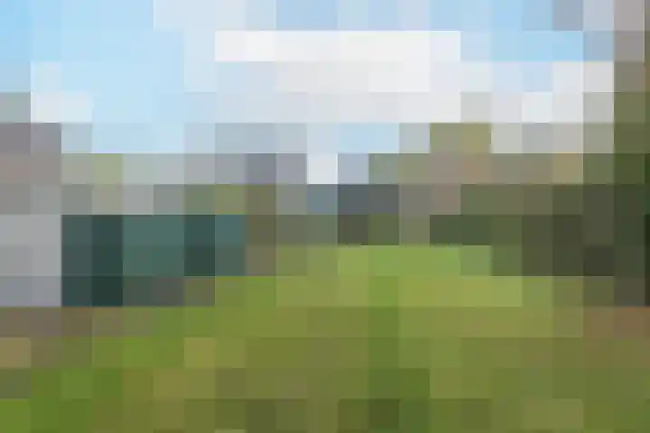 Weert 51 Meerssen thumbnail 28