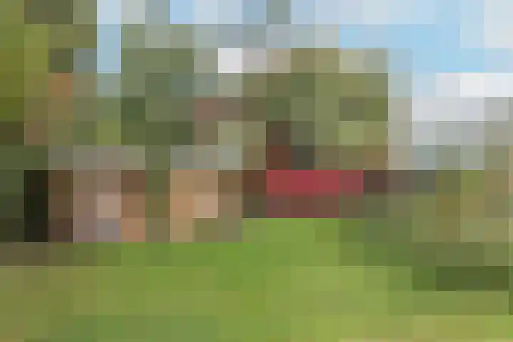 Weert 51 Meerssen thumbnail 29