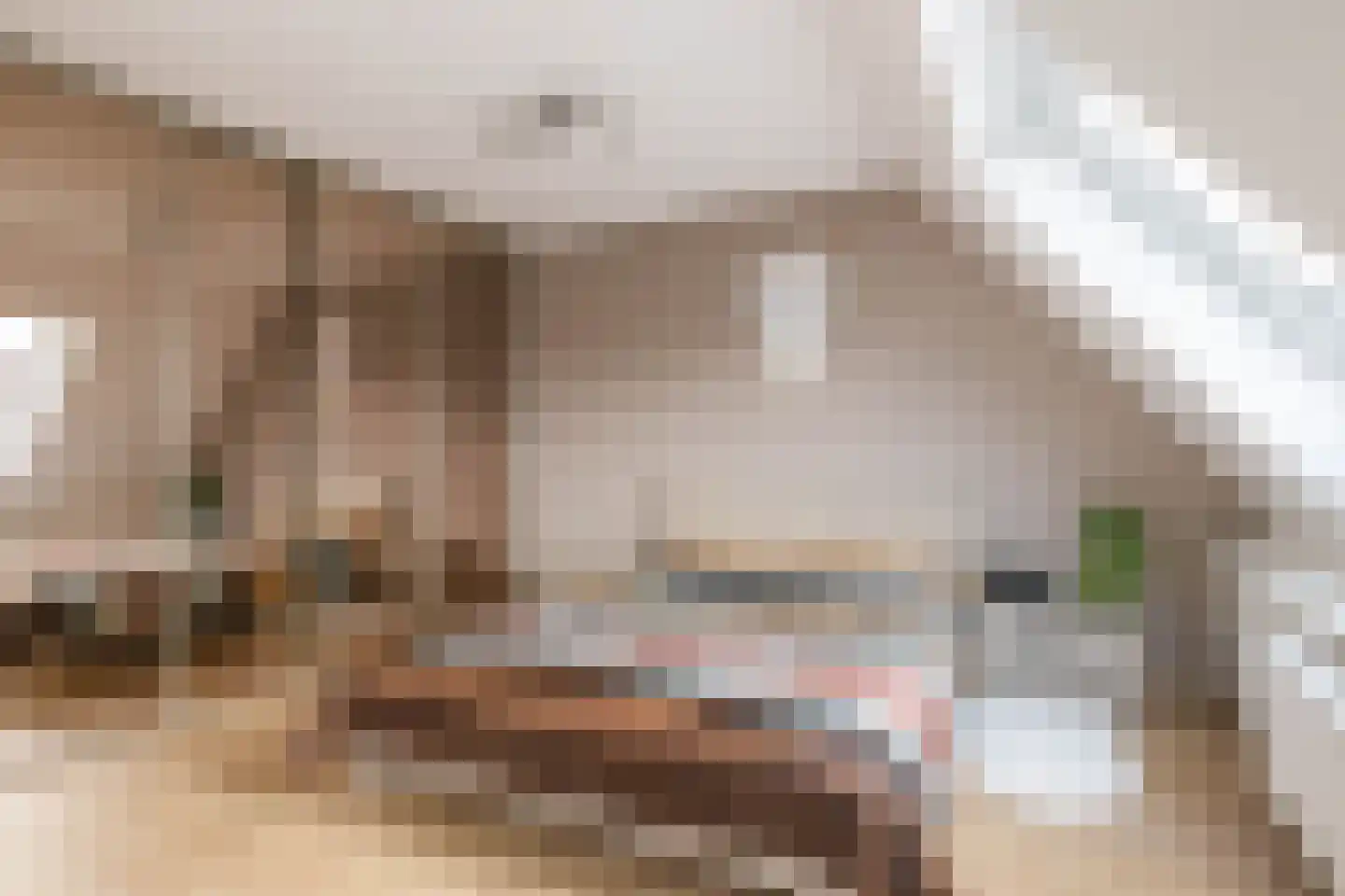 Weerterbos 1 Hoofddorp thumbnail 18