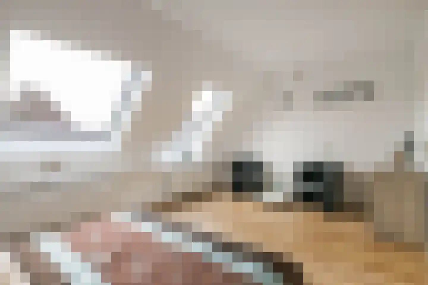 Weerterbos 1 Hoofddorp thumbnail 19