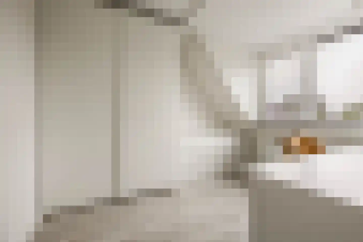 Weerterbos 49 Hoofddorp thumbnail 31
