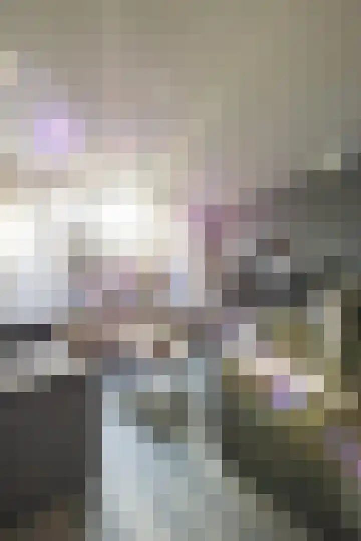 Weerterbos 92 Hoofddorp thumbnail 11