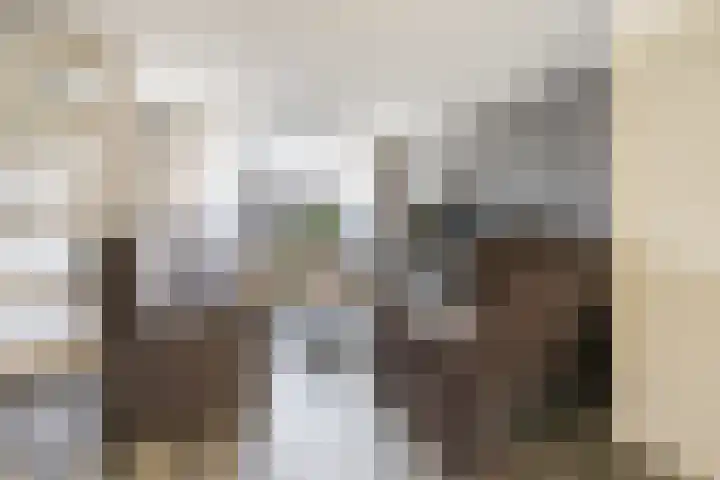 Weerterbos 92 Hoofddorp thumbnail 12